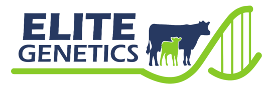 Elite Genetics BlueGreen transparent 543×180 Elite Genetics