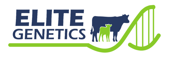 Elite Genetics BlueGreen transparent outlined 543×180